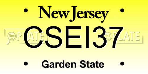 CSEI37 New Jersey License Plate