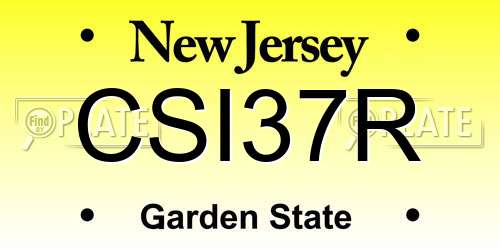 CSI37R New Jersey License Plate