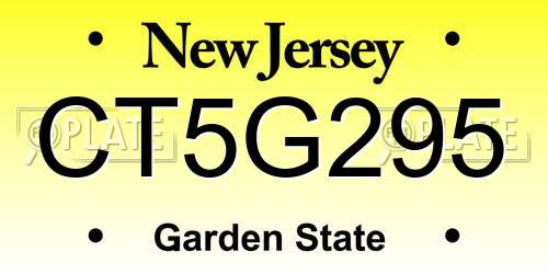 CT5G295 New Jersey License Plate