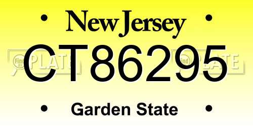 CT86295 New Jersey License Plate