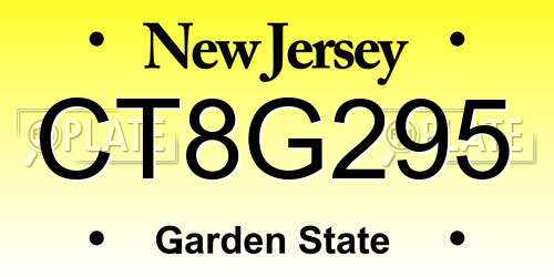 CT8G295 New Jersey License Plate