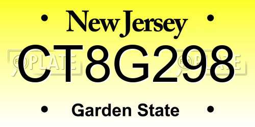 CT8G298 New Jersey License Plate