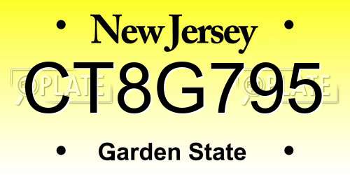 CT8G795 New Jersey License Plate