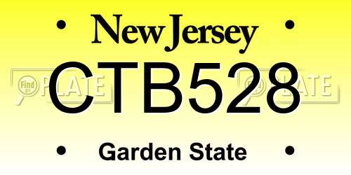 CTB528 New Jersey License Plate