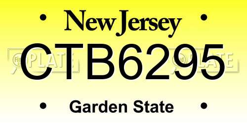 CTB6295 New Jersey License Plate