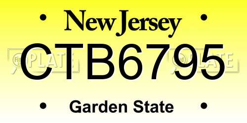 CTB6795 New Jersey License Plate