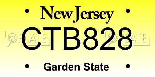 CTB828 New Jersey License Plate