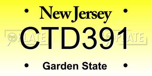 CTD391 New Jersey License Plate