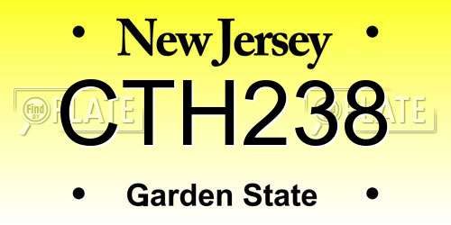 CTH238 New Jersey License Plate