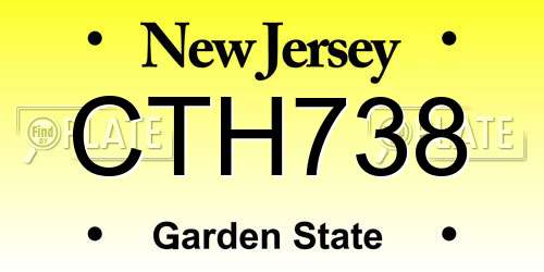 CTH738 New Jersey License Plate