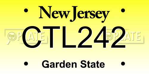 CTL242 New Jersey License Plate