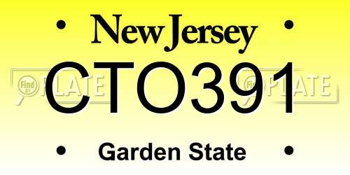 CTO391 New Jersey License Plate