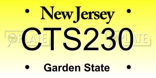 CTS230 New Jersey License Plate