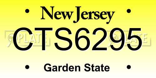 CTS6295 New Jersey License Plate