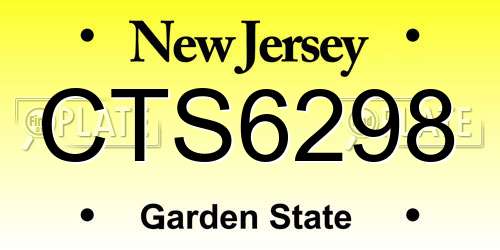 CTS6298 New Jersey License Plate