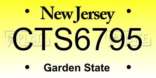 CTS6795 New Jersey License Plate