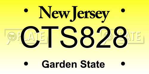 CTS828 New Jersey License Plate