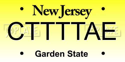 CTTTTAE New Jersey License Plate
