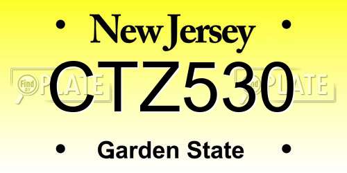 CTZ530 New Jersey License Plate