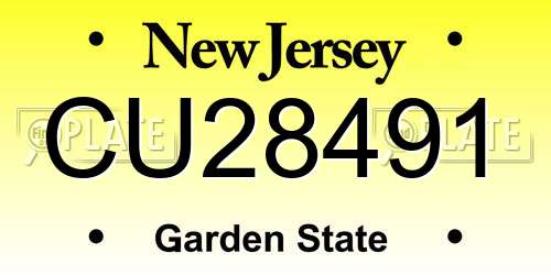 CU28491 New Jersey License Plate