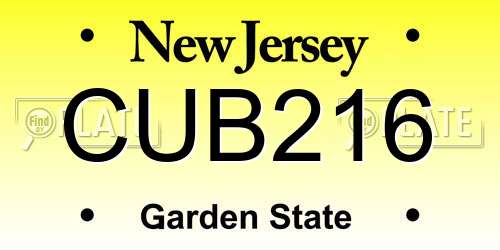 CUB216 New Jersey License Plate
