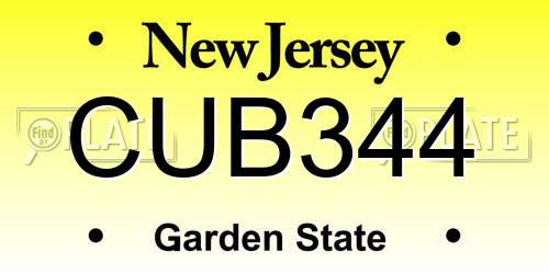CUB344 New Jersey License Plate