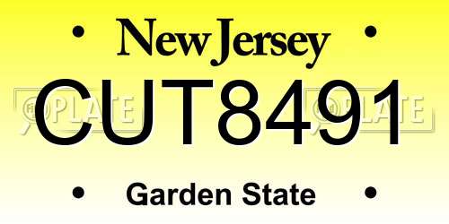 CUT8491 New Jersey License Plate