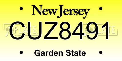 CUZ8491 New Jersey License Plate