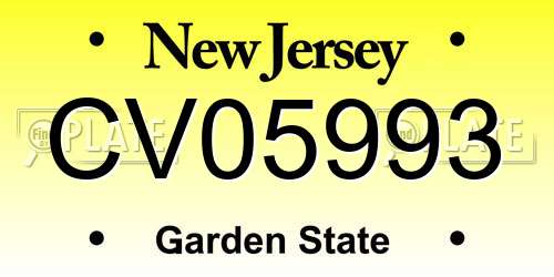 CV05993 New Jersey License Plate
