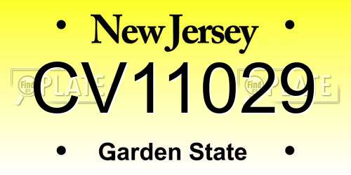 CV11029 New Jersey License Plate