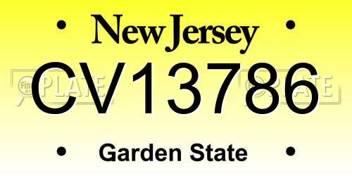 CV13786 New Jersey License Plate