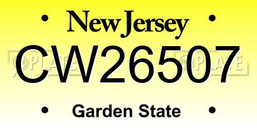 CW26507 New Jersey License Plate