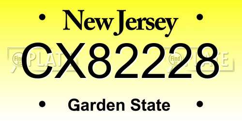 CX82228 New Jersey License Plate