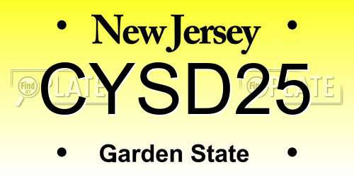 CYSD25 New Jersey License Plate