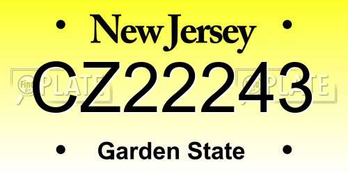 CZ22243 New Jersey License Plate