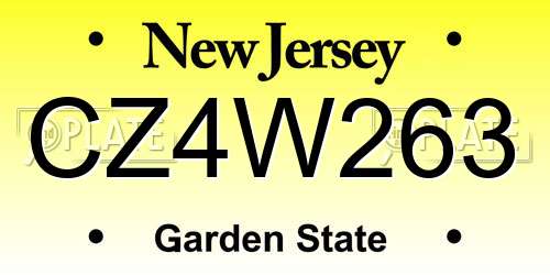 CZ4W263 New Jersey License Plate