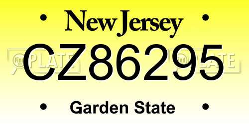 CZ86295 New Jersey License Plate