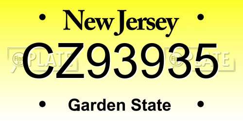 CZ93935 New Jersey License Plate
