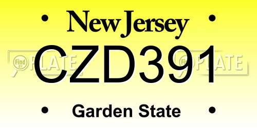 CZD391 New Jersey License Plate