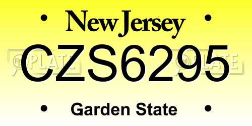 CZS6295 New Jersey License Plate