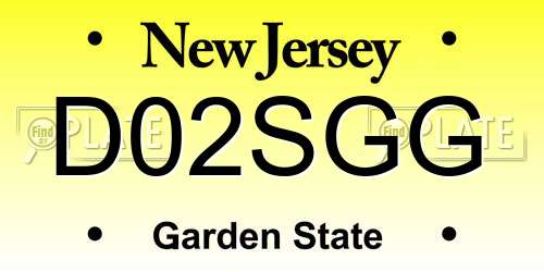 D02SGG New Jersey License Plate