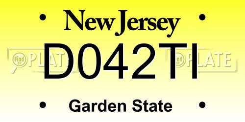 D042TI New Jersey License Plate
