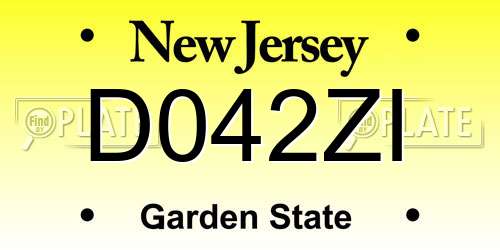 D042ZI New Jersey License Plate