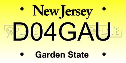 D04GAU New Jersey License Plate