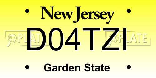 D04TZI New Jersey License Plate