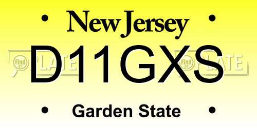 D11GXS New Jersey License Plate