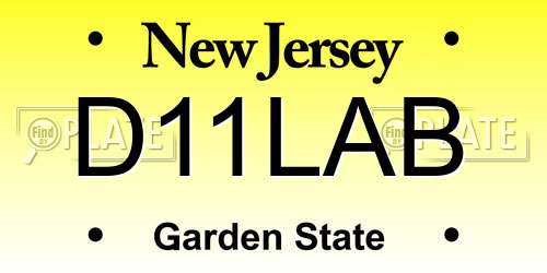 D11LAB New Jersey License Plate