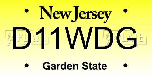 D11WDG New Jersey License Plate