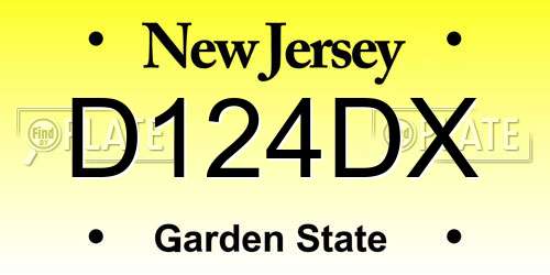 D124DX New Jersey License Plate
