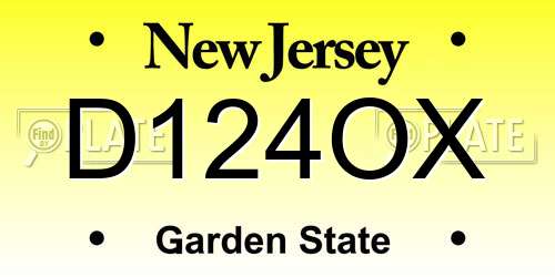 D124OX New Jersey License Plate